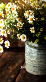 ナチュラルイメージの花