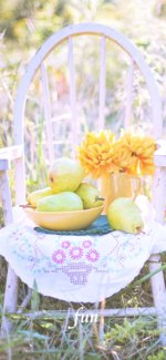 ラ・フランスと黄色の花