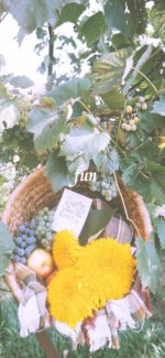 ラ・フランスと黄色の花