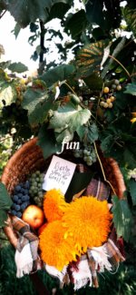 ラ・フランスと黄色の花