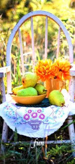 ラ・フランスと黄色の花