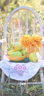 ラ・フランスと黄色の花