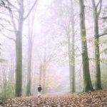 Twitterヘッダーサイズの冬のフリー画像素材が取り放題