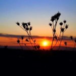 iPhone12ProMax・13ProMax・14plusの秋の無料壁紙・待受けが取り放題