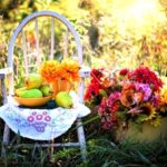 iPhone8・7・6・6Splusのおしゃれな花の無料壁紙・待受けを配信中