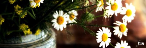 ナチュラルイメージの花