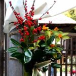 iPhone8・7・6・6sPlusロック画面等のお正月の無料壁紙・待受けを配信中