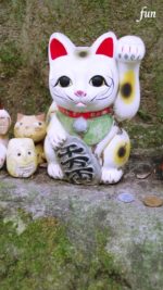 鳥取県金持神社招き猫
