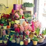 iPhone8・7・6・6s・SE2ロック画面等の春の無料壁紙・待受けを配信中