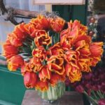 iPadPro11インチロック画面等の春の無料壁紙・待受けを配信中