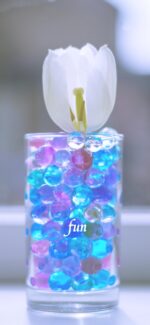 白いチューリップ