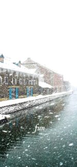北海道の雪景色