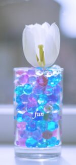 白いチューリップ