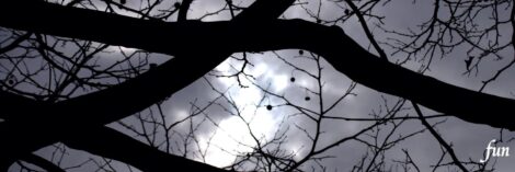 X（エックス）ヘッダー用サイズのフリー画像