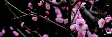 X（エックス）ヘッダー用サイズのフリー画像