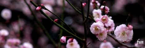 X（エックス）ヘッダー用サイズのフリー画像