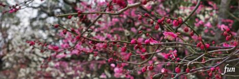 X（エックス）ヘッダー用サイズのフリー画像