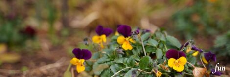 X（エックス）ヘッダー用サイズのフリー画像