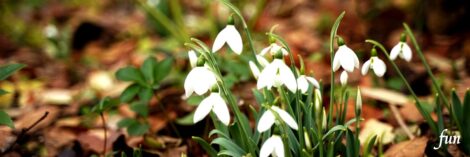 X（エックス）ヘッダー用サイズのフリー画像