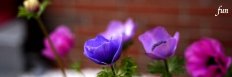 X（エックス）ヘッダー用サイズのフリー画像