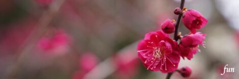 X（エックス）ヘッダー用サイズのフリー画像