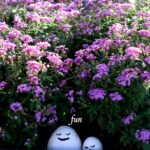 ピンクの花と笑顔の石