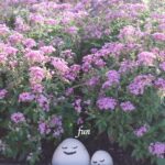 ピンクの花と笑顔の石