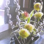 ネコヤナギの生け花