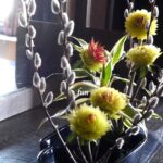 ネコヤナギの生け花