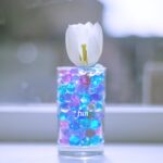 白いチューリップ