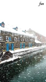 北海道の雪景色