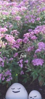 ピンクの花と笑顔の石