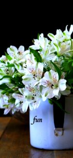 アルストロメリア