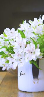 アルストロメリア