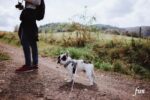 iPhone8・7・6・6sPlusロック画面等の犬の無料壁紙・待受けを配信中