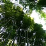 iPadロック画面等の日本の和の風景無料壁紙・待受けを配信中