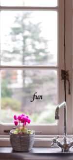 キッチンのシクラメン