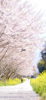 春の道