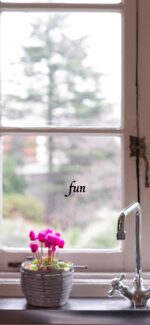 キッチンのシクラメン