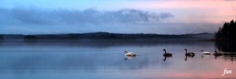 X（エックス）ヘッダー用サイズのフリー画像