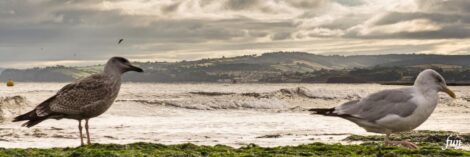 X（エックス）ヘッダー用サイズのフリー画像