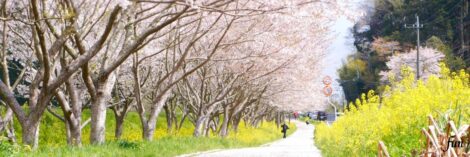 X（エックス）ヘッダー用サイズのフリー画像