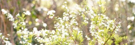 X（エックス）ヘッダー用サイズのフリー画像