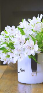 アルストロメリア