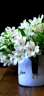 アルストロメリア