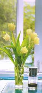 窓辺の黄色のチューリップ