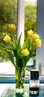 窓辺の黄色のチューリップ