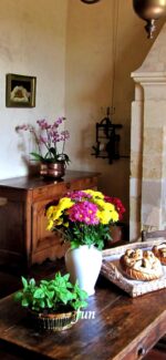 ピンクと黄色の花