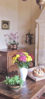 ピンクと黄色の花