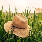 iPhone12ProMax・13ProMax・14plusロック画面等のシンプルな夏の壁紙を配信中